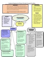 A Patient Priority Concept Problem Analysis Diagram For Case 2 Rochelle