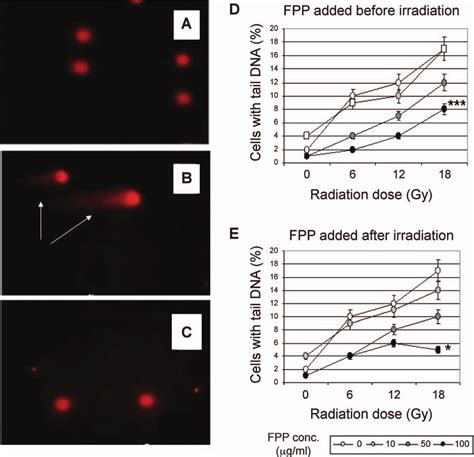 The In Vitro Effect Of Fpp On Radiation Induced Dna Damage The Comet