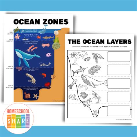 Ocean Zones | CK-12 Foundation - Worksheets Library