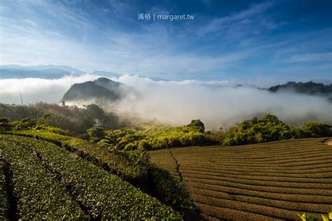 阿里山咖啡之旅。9個部落5條一日遊路線｜北緯235度的世界水準 瑪格。圖寫生活