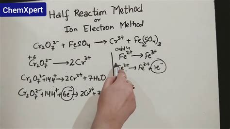 Half Reaction Method Redox Reaction Chapter 8 Class 11