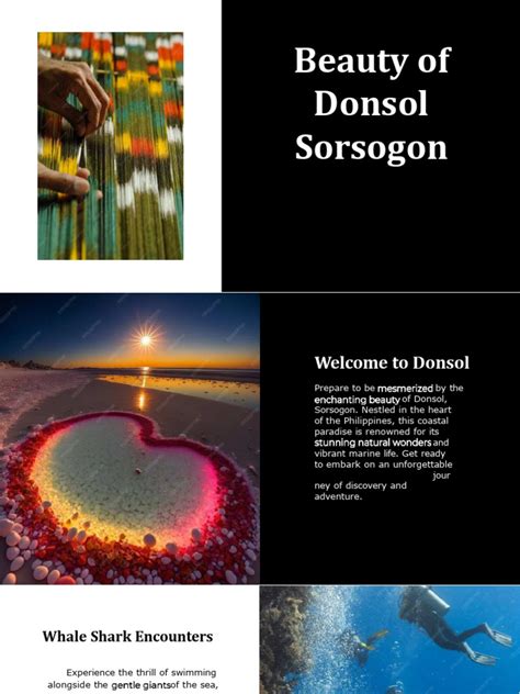 discover donsol river adventures