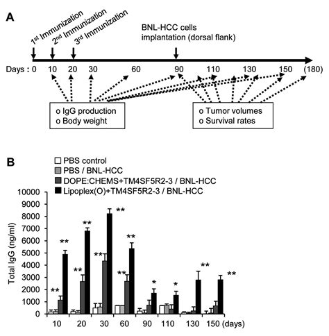 Induction Of Immunological Memory Response By Vaccination With TM4SF5