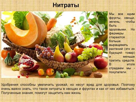 Нитраты: способы снижения содержания нитратов в овощах и фруктах. 3 ...
