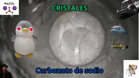 Como Hacer Carbonato De Sodio Y Cristales De Carbonato De Sodio Youtube