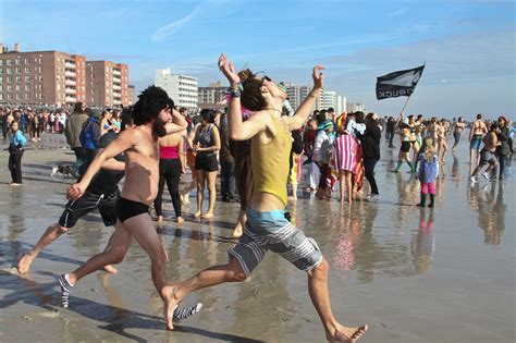 Video Polar Bears Take The Plunge Herald Community Newspapers