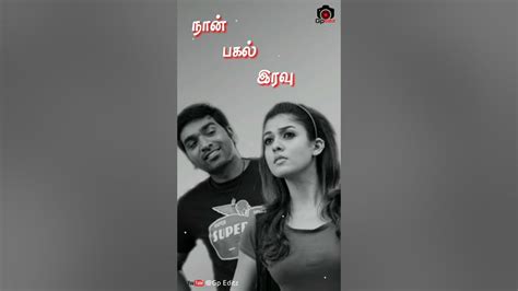 Neeyum Naanum Naanum Rowdydhaan Lyrical Video Whatsapp Status