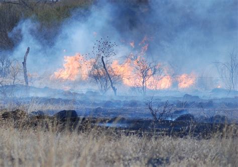 Se Registra Nuevo Incendio Forestal En Tepehuanes