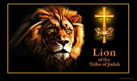 Lion Of Judah Lion Motivation Bible HD Wallpaper Pxfuel