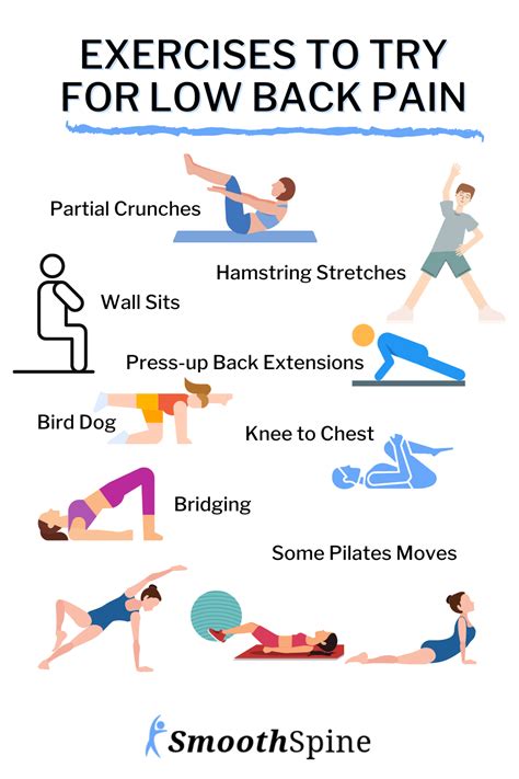 3 beginner core strengthening exercises for back pain free pdf – Artofit