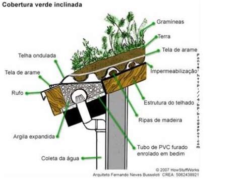 Aprenda Como Construir Um Telhado Verde Telhado Verde Arquitetura