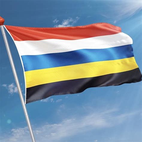 Vlag Elst X Cm Polyester Bol