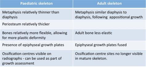 Puberty And Adolescence Flashcards Quizlet