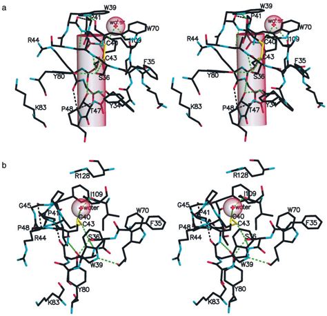 Two Stereoviews Of The Redox Active Disulfide And Its Immediate