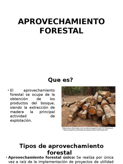 Aprovechamiento Forestal