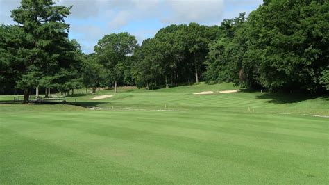 Understanding The Uses Of Zoysia Grass A Comprehensive Guide