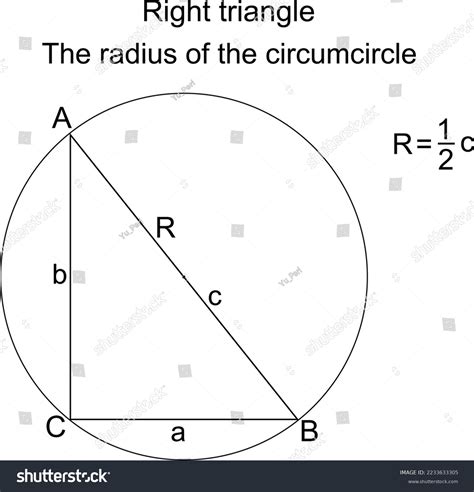 Right Triangle Abc Radius Circumcircle Half Stock Vector (Royalty Free ...