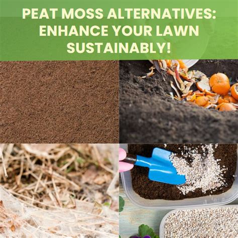 Peat Moss Alternative Landzie