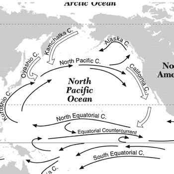 North Pacific Gyre