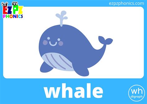 Wh Digraph Flashcards Ezpzphonics