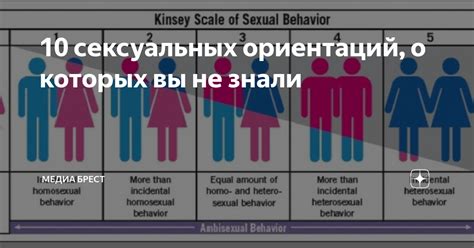 Kinsey Scale Sexuality Test Telegraph