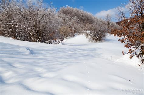 Winter magic in Croatia - Explore Croatia