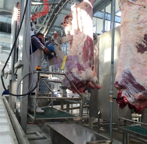 Cattle Abattoir Equipment Halal Slaughtering Line Machine Cow