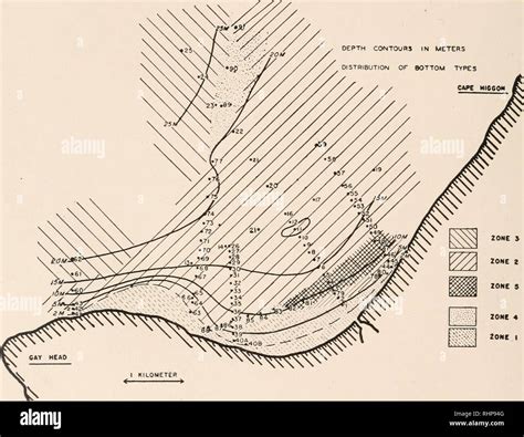 Ocean depth zones hi-res stock photography and images - Alamy