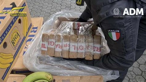 Cocaina Nascosta In Un Carico Di Banane Sequestro A Gioia Tauro