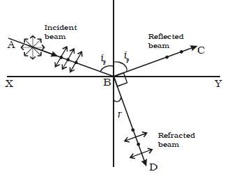 Explain Polarization by Reflection - QS Study