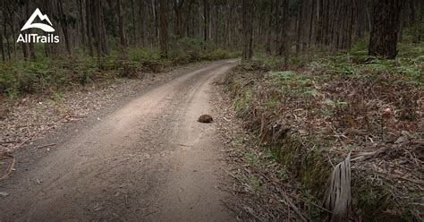 Best Hikes And Trails In Tallarook Alltrails