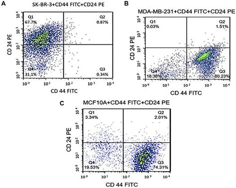 Flow Cytometric Analysis Of Sk Br 3 A Sk Br 3 B Mda Mb 231 C Download Scientific