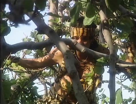 Insel Des Verderbens Episode German Anal Porn XHamster