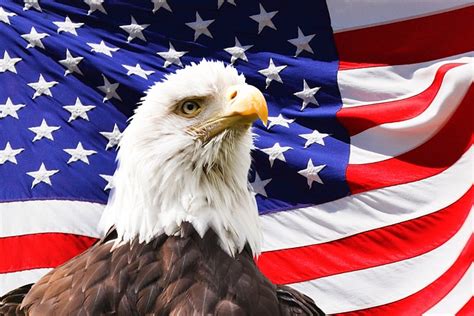 20,000+ Free American Flag Eagle & American Flag Images - Pixabay