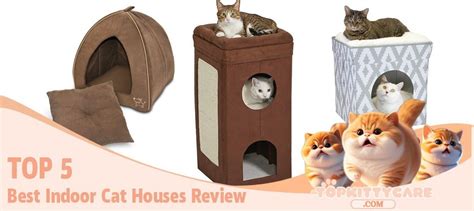 5 Best Indoor Cat Houses for Your Feline Friend - Top Kitty Care