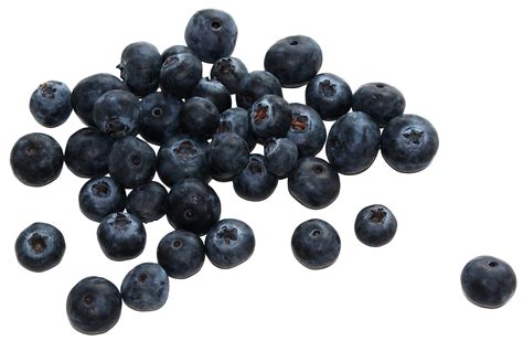 Download Group Of Blueberries Png Image For Free