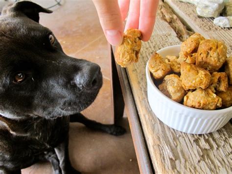 Crunchy Peanut Butter Dog Treats - FlunkingFamily