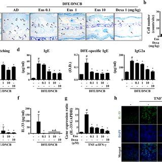 Effects Of Euscaphic Acid On Inflammatory Signaling Pathway In HaCaT