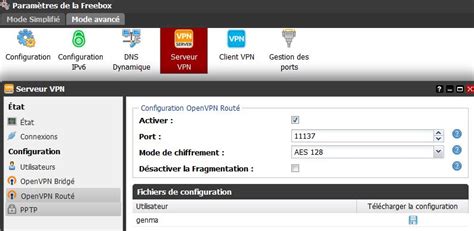 Quel Client VPN Pour Freebox