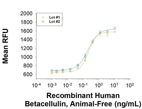 Recombinant Human Bmp Gmp Protein Cf E Gmp R D Systems