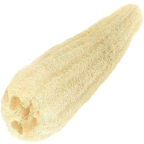 Egyptian Loofah Luffa Loffa Lofa Loofa Scrubber Sponge 100 Natural