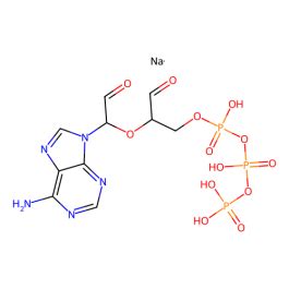 Adenosine 5 Triphosphate Periodate Oxidized Sodium Salt 90 Prefix