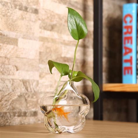 Amazon Plum Blossom Shaped Transparent Wall Hanging Vase