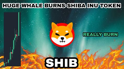 SHIB COIN HUGE BURNS IN 2023 SHIBA INU REALLY BURN ON EVERY