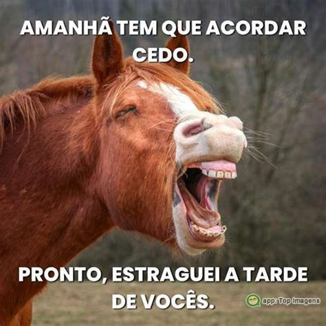 Acordar Cedo Frases Engraçadas - Amanhã tem que acordar cedo | Frases engraçadas para rir, Frases ...