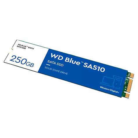 SSD M 2 Western Digital WD Blue SA510 250GB No Paraguai