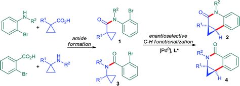 Enantioselective Palladium 0 Catalyzed Intramolecular Cyclopropane Functionalization Access To