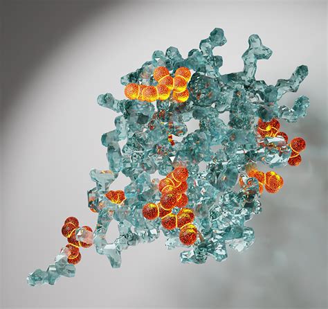 NMR spectroscopy reveals protein folding in milliseconds | Spectroscopy Europe/World