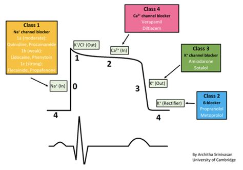 Pharm Cardio P2 Antiarrhythmics Ischemic Heart Disease Flashcards