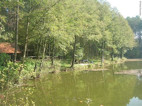 Angeln am Brummer Weiher Fränkisches Seenland